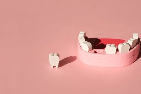 wooden model toy of a human jaw with a missing too 2022 01 06 00 24 44 utc 2